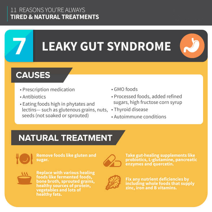 Leaky Gut Syndrome MKexpressnet