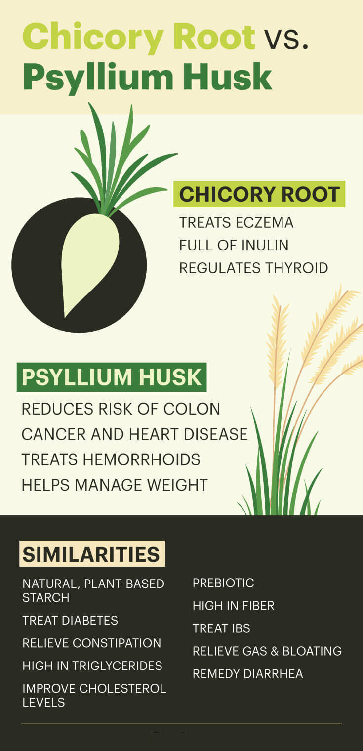 Chicory root vs psyllium husk