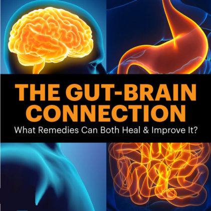 What Is The Gut-Brain Connection And How To Heal And Improve It?