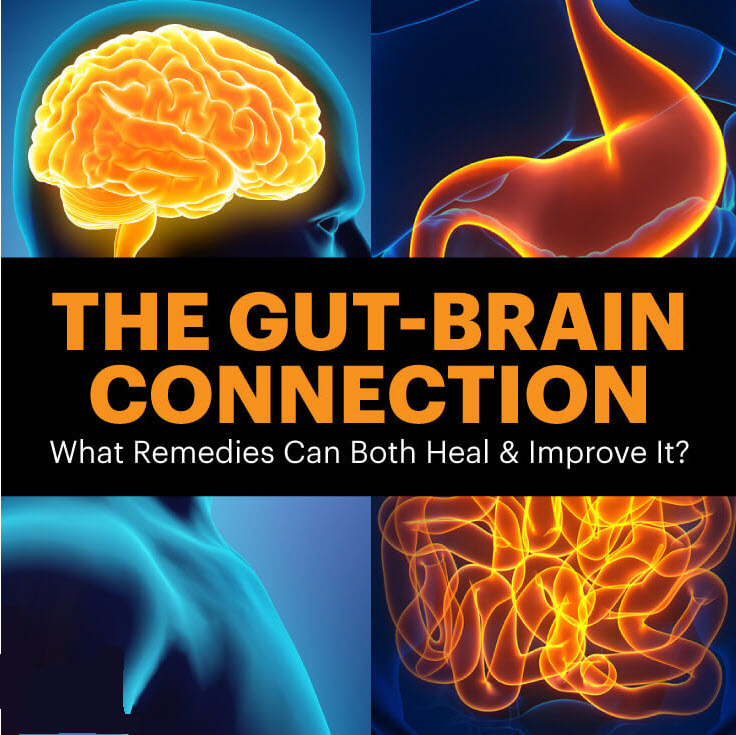 the gut brain connection what remedies can both heal improve it