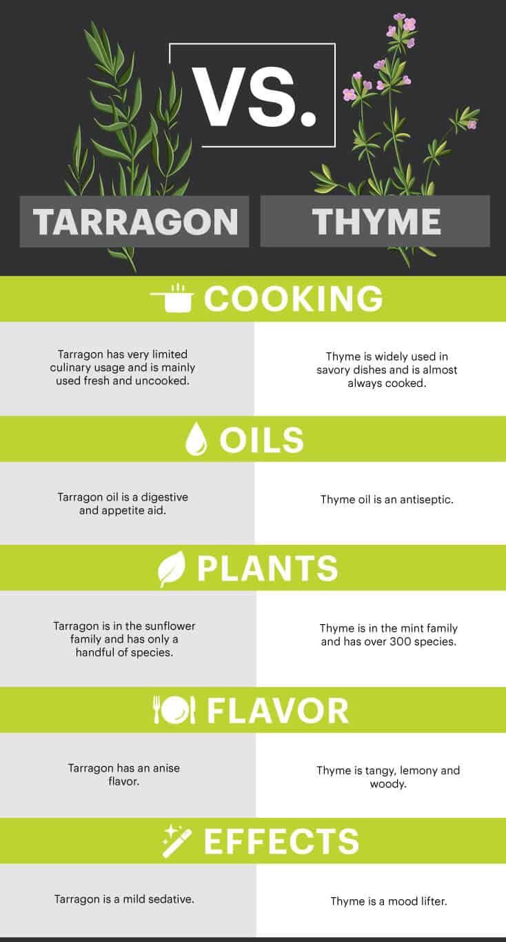 Tarragon vs thyme