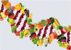 DNA Diet: Are Your Genes Decide Your Weight? - MKExpress.net