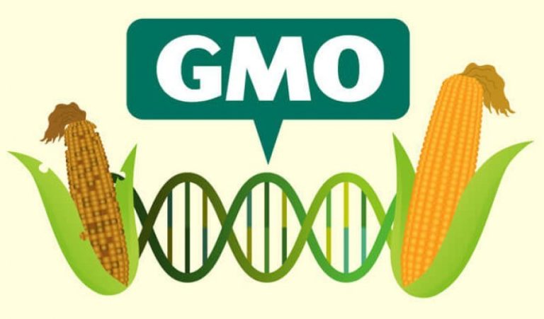 Genetically Modified Another Name