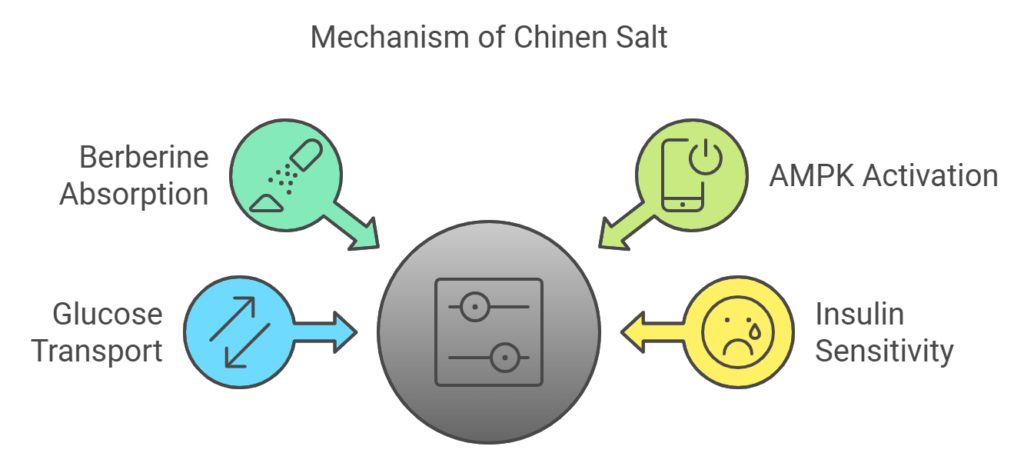 Mechanism of Action